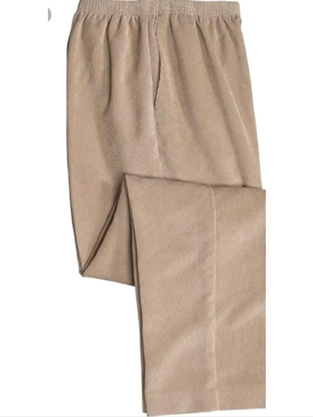 Sag Harbor Slimming Solution Pull on Corduory Khaki Pant 22W
